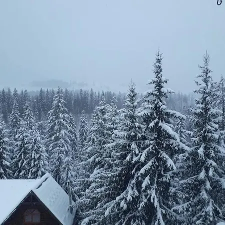 Underділ * Krivopillja