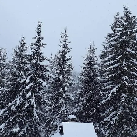 Underділ Nyaraló *