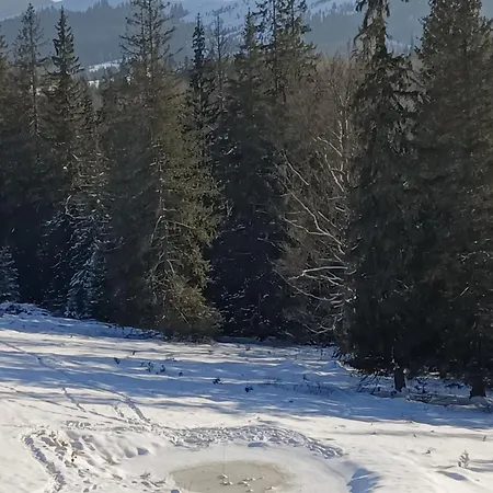 Nyaraló Underділ Krivopillja