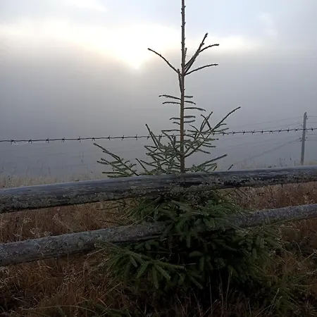 Underділ 度假居 Krivopol'ye