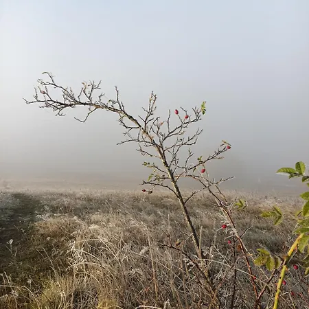 度假居 Underділ