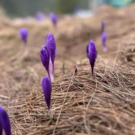 Underділ * Krivopol'ye