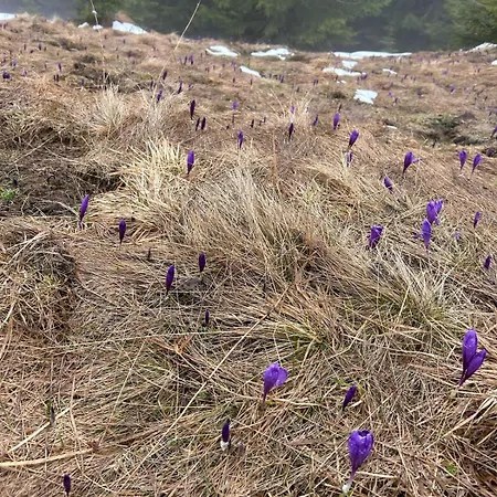 Underділ * Krivopol'ye