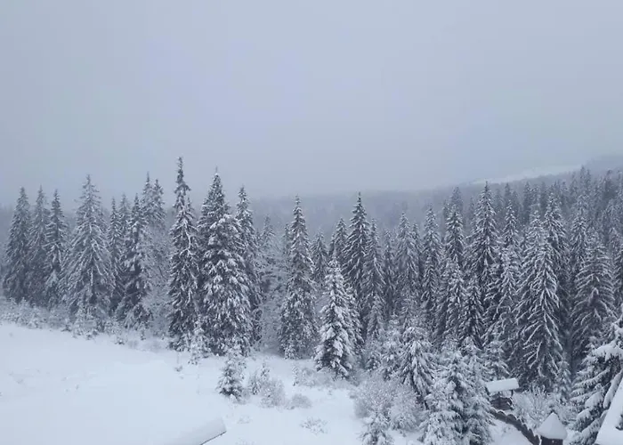 Holiday home Underділ *